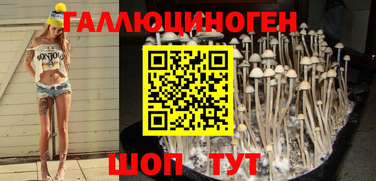 наркотики  Псилоцибиновые грибы мицелий  Вичуга  Вход с VPN  Псилоцибиновые грибы Cubensis 